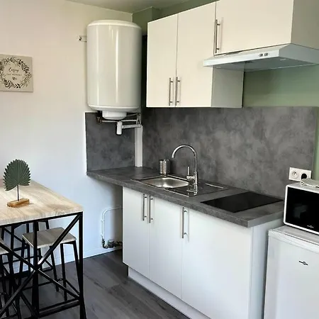 Apartment Le Wilson Centre